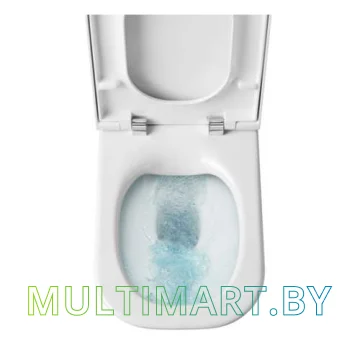 Унитаз Roca The Gap Clean Rim A34273700H картинка 4